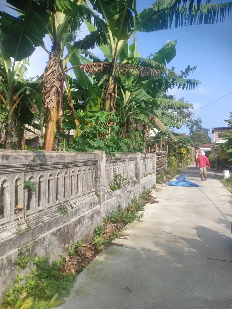 Jual tanah permukiman trawas pacet mojokerto