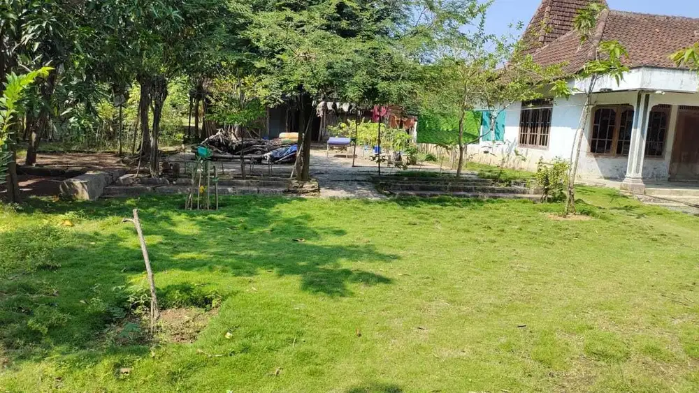 Tanah Daerah Gabus . Pati – 10566