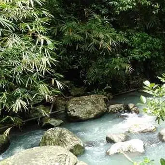 jual tanah view sungai tabanan selemadeg