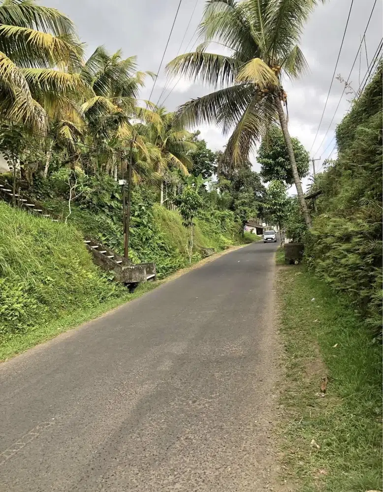 Freehold land 3are ubud kliki