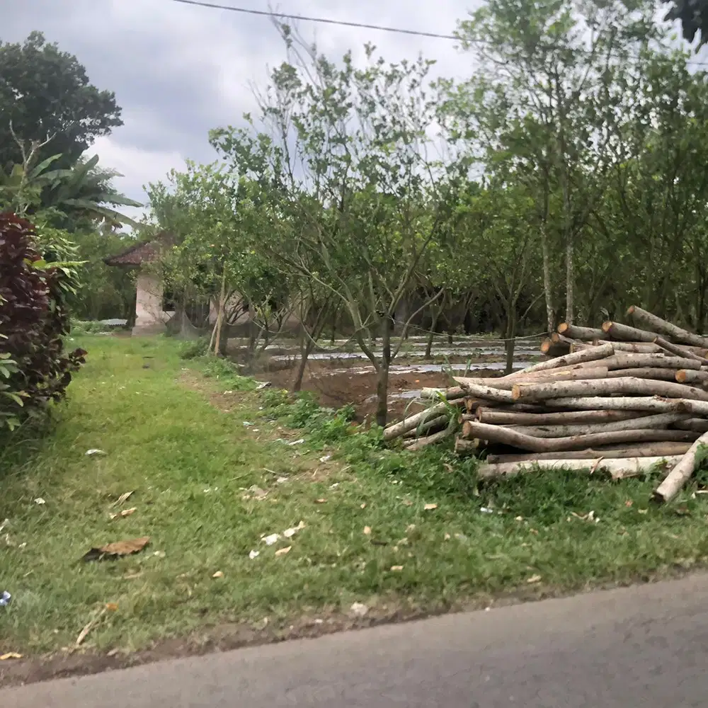 Dijual tanah Ubud taro Payangan