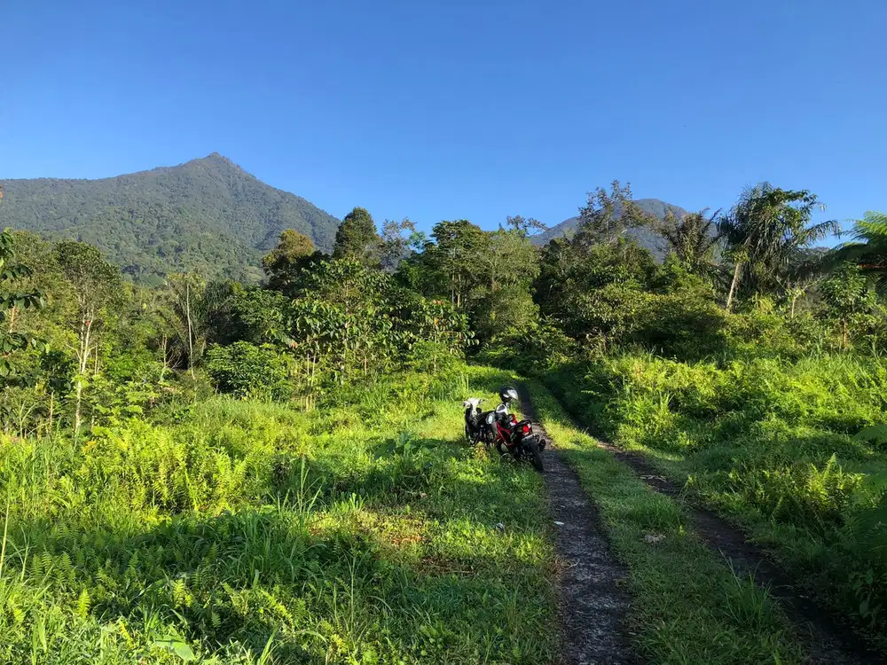 Dijual tanah Tabanan Penebel view pegunungan dekat jatiluwih