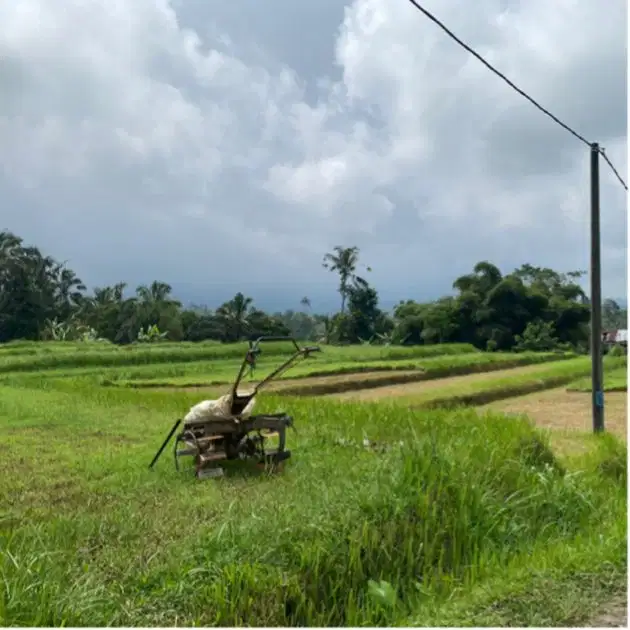 jual tanah jatiluwih penebel tabanan bali