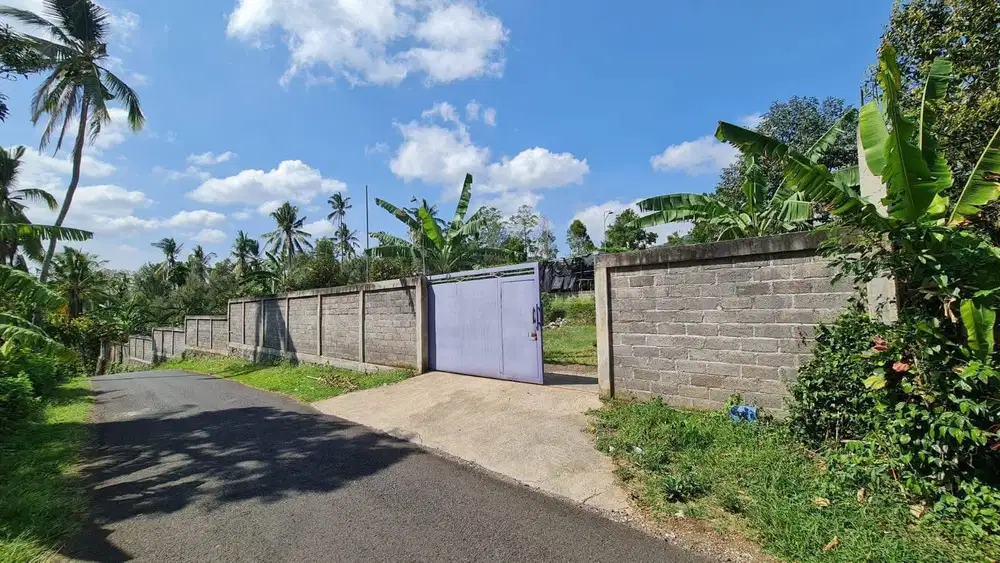 Jual tanah pupuan busungbiu 135are