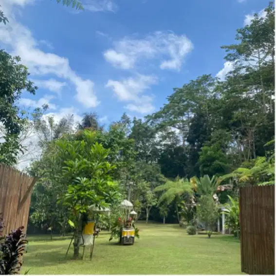 jual tanah ubud payangan natural view