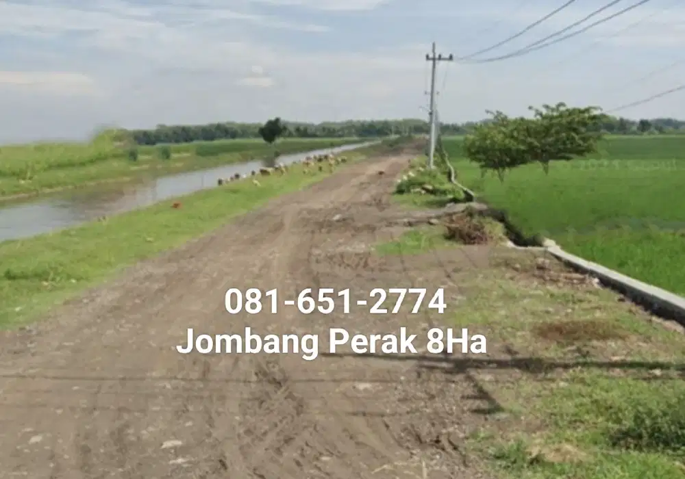 Tanah di Perak Jombang