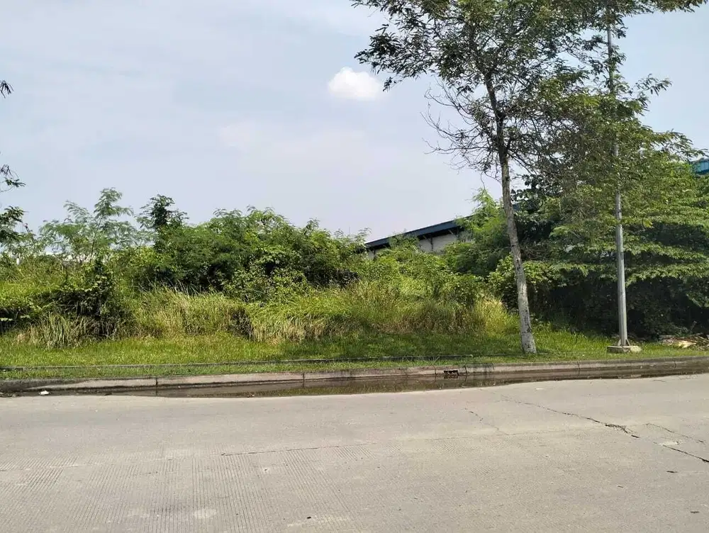 Dijual Kavling 5000 m² Delta Silicon 3 Lippo Cikarang, 3 Juta/m²