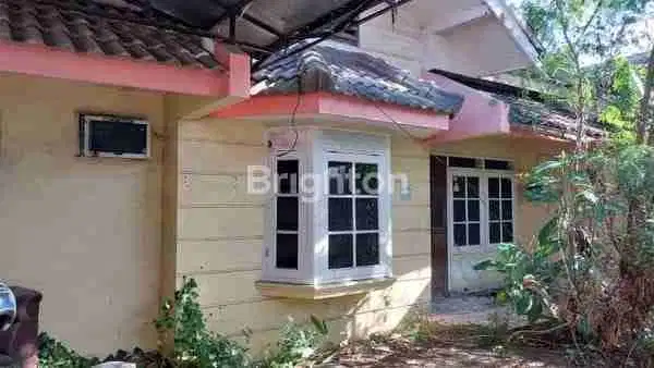 panjang jiwo termurah lokasi terbaik