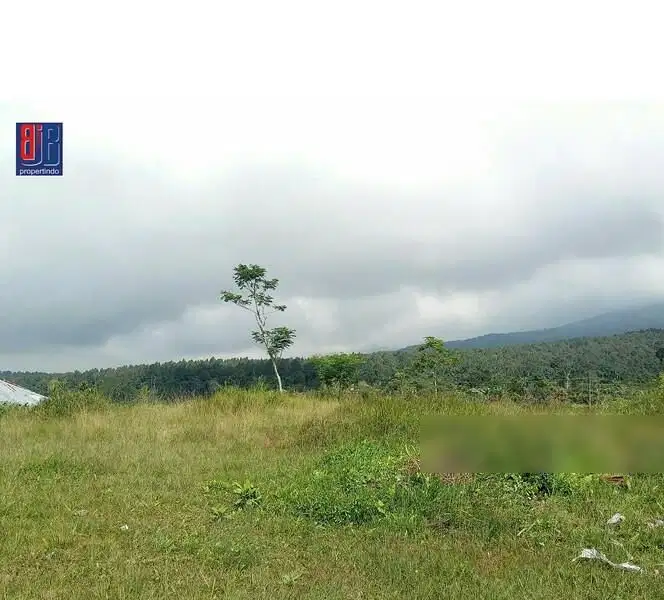 Dijual Murah Tanah Di Kawasan Wisata Baturiti, Bedugul, Tabanan Bali.