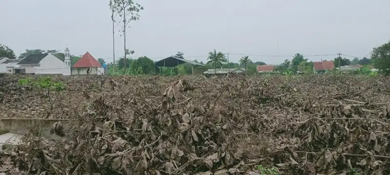 disewakan tanah di cisauk