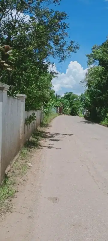 dijual tanah di Cisauk