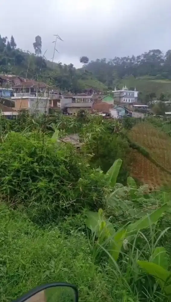 Jual Cepat Tanah 2500m² Cihargem Dago Atas