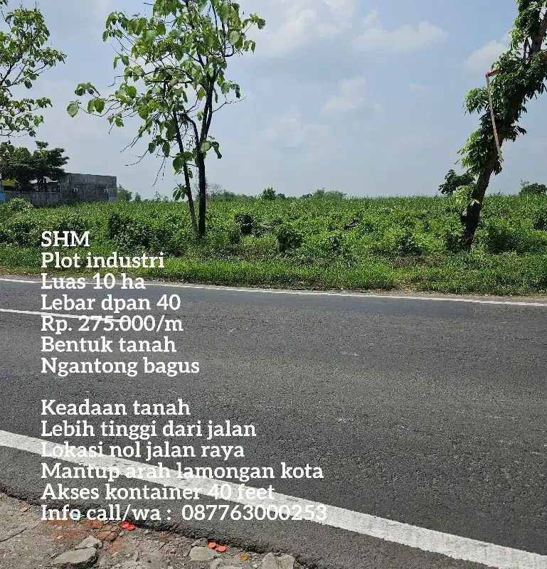 Lahan plot industri lamongan harga 275 rb/m