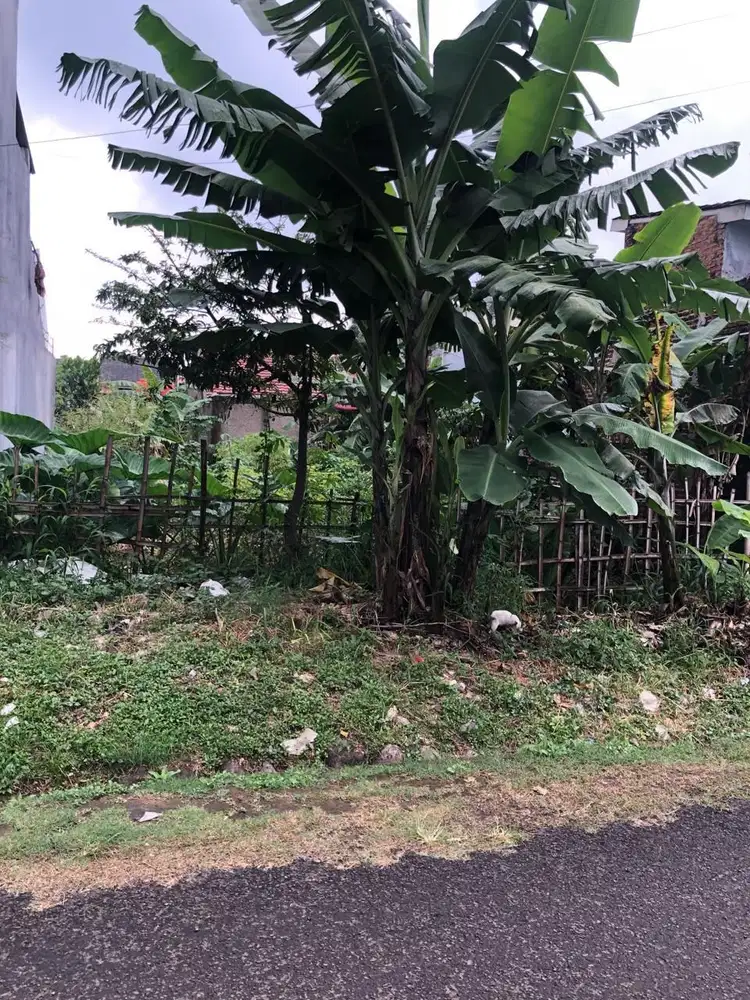 Tanah Siap Bangun 277 Meter Gandasari Arcamanik Kota Bandung