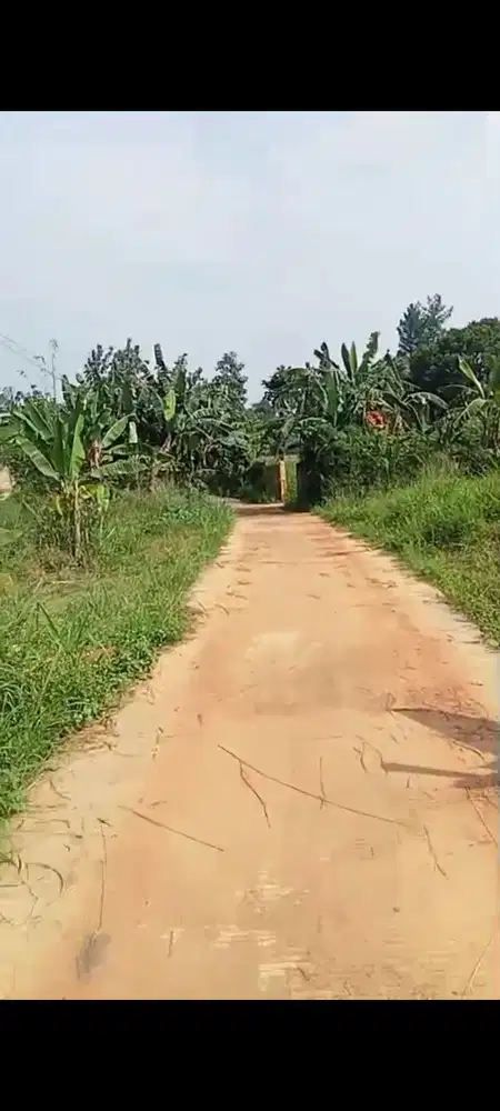 Jual tanah di gunung sindur