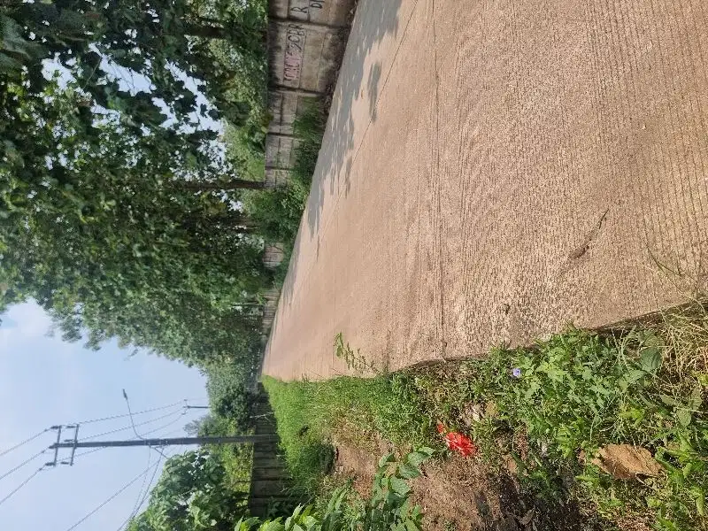 dijual tanah dekat jalan Maloko  Rumpin