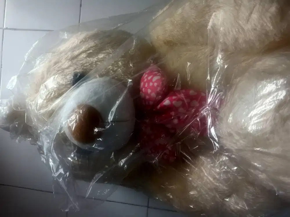 Jual boneka beruang jumbo exnaughty
