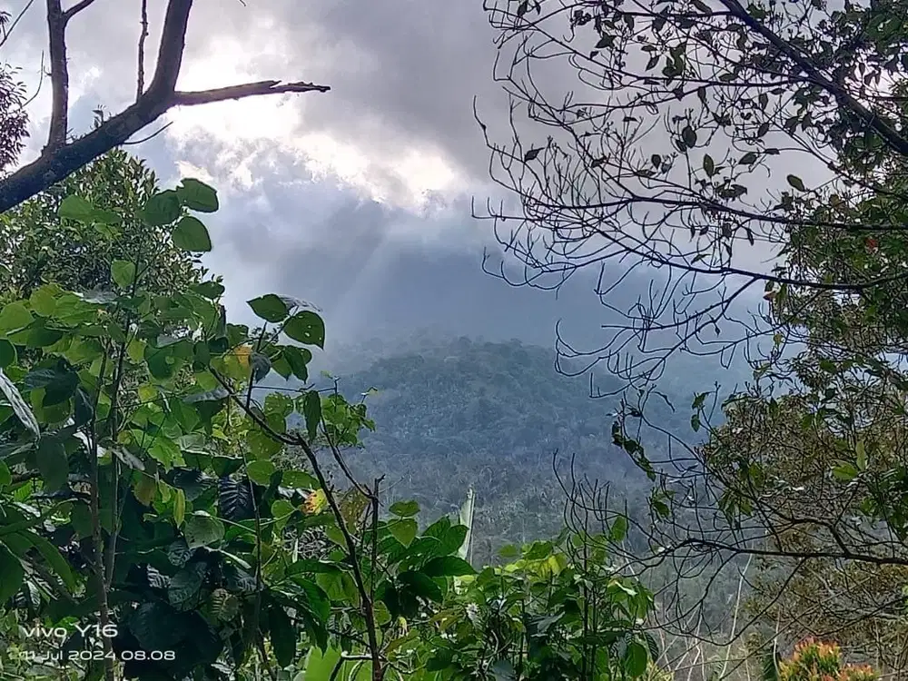 Jual tanah pupuan sanda kontur Tanah Datar view abadi