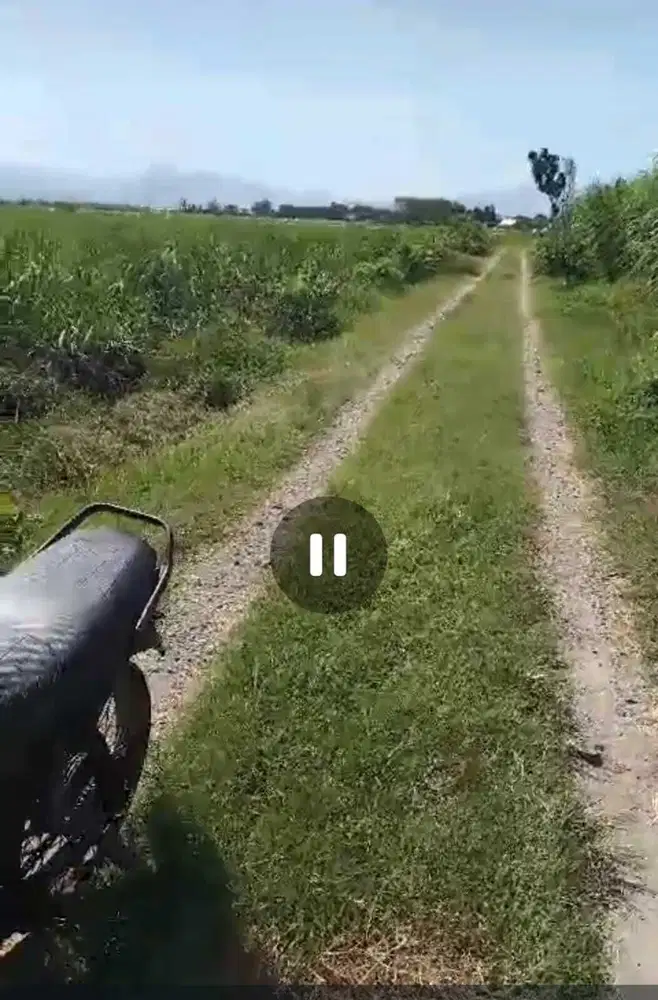 Dijual tanah untuk pertanian, peternakan Ngoro, Jombang