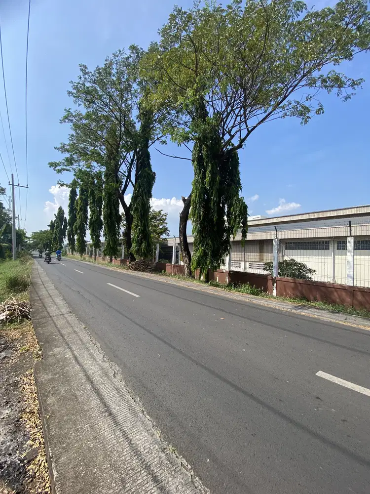 Jual tanah industri kejayan nestle