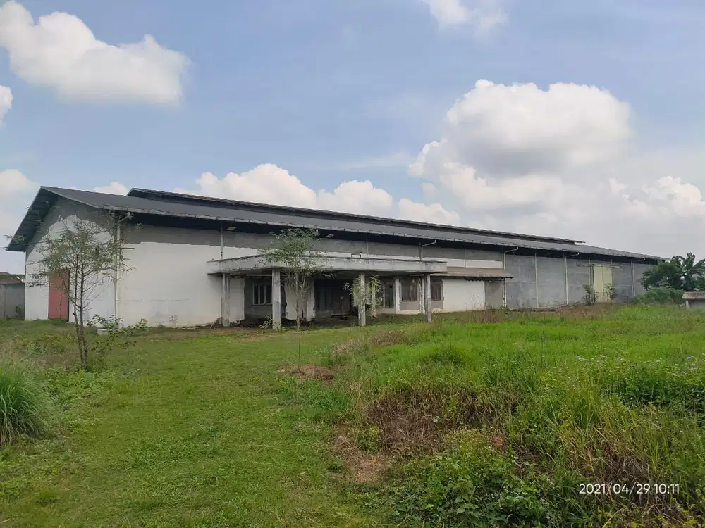 Disewakan Gudang 1833m2, Sei Semayang (Cocok untuk distribusi barang ke aceh)
