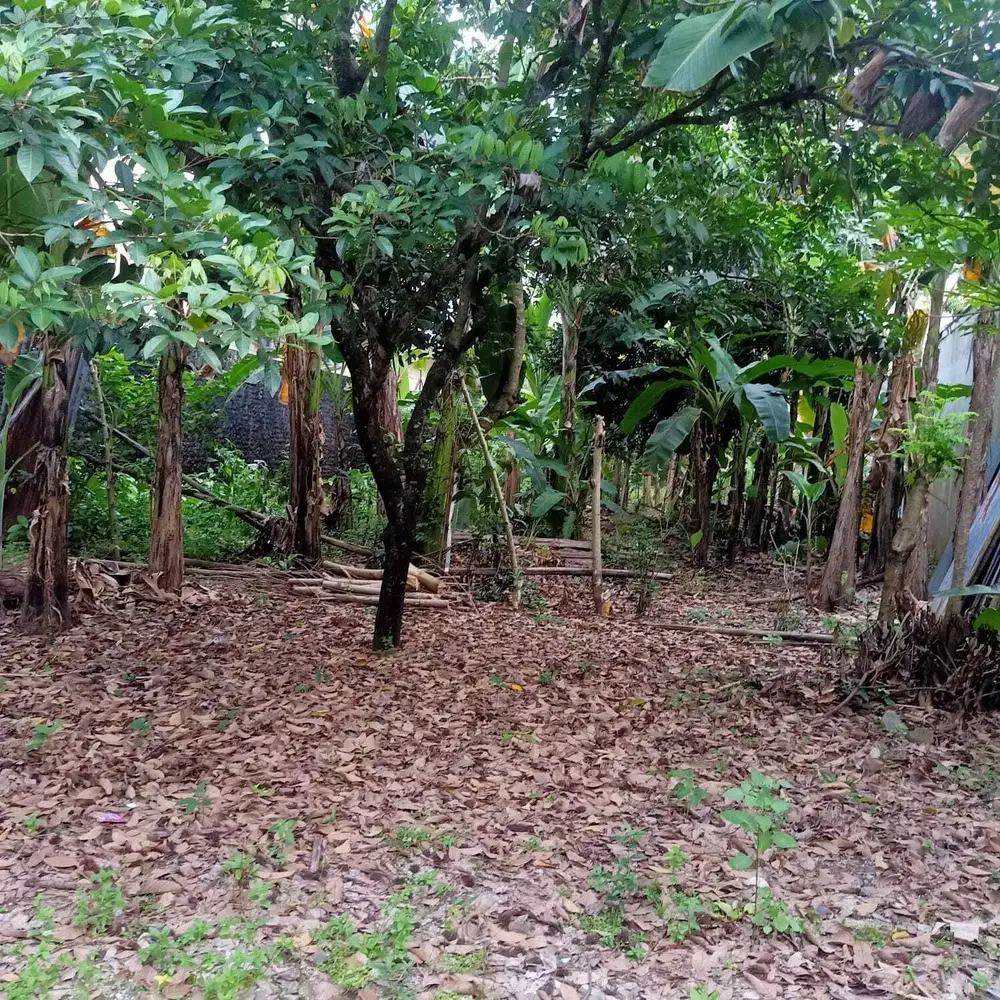 Tanah cocok untuk tempat tinggal/kos-an/kantor