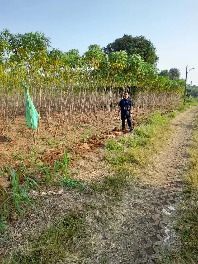 Dijual Murah Tanah 2 Kavling Harga NJOP