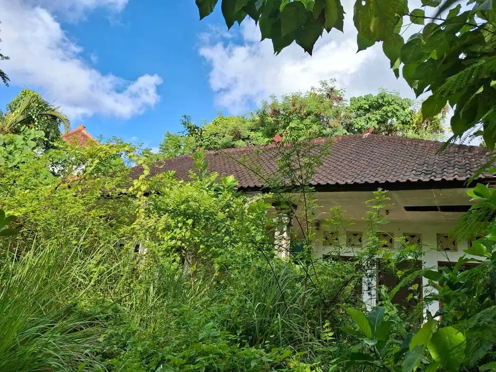 Disewakan Tanah  6 Are Dekat Sunset Ro  – Seminyak