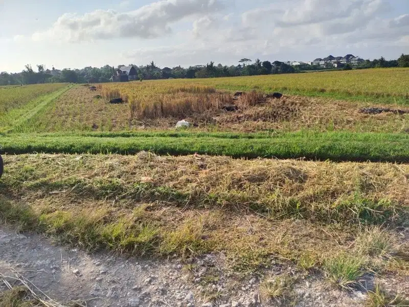 Tanah yeh Gangga tabanan