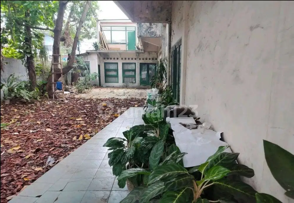 Rumah Besar Lama Harus Bangun Baru Bisa Sekolah Bisa Gym Dan Resto