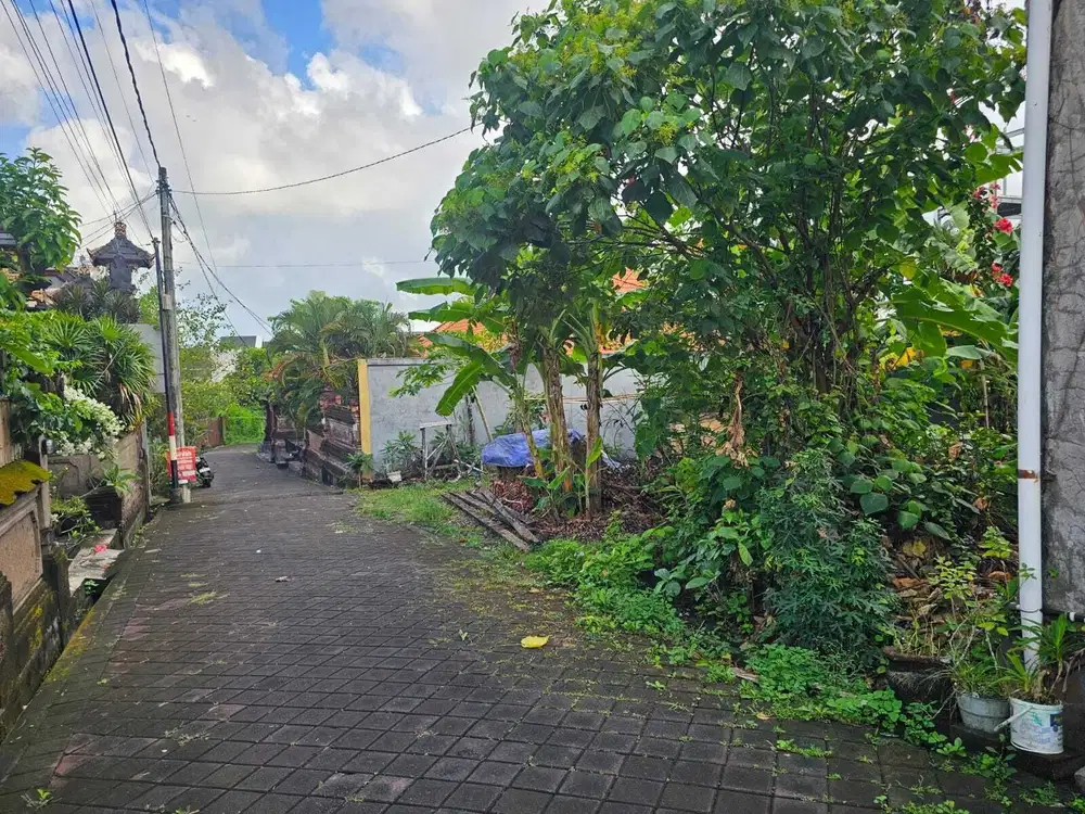 Tanah Berawa Canggu Badung Bali