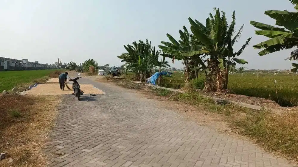 Di jual tanah damarsi buduran sidoarjo