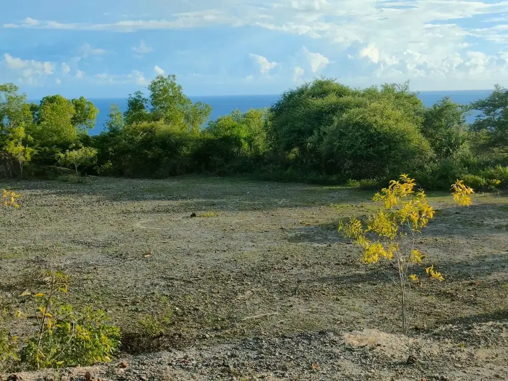 Tanah Ocean View Kutuh Pandawa Jimbaran Badung