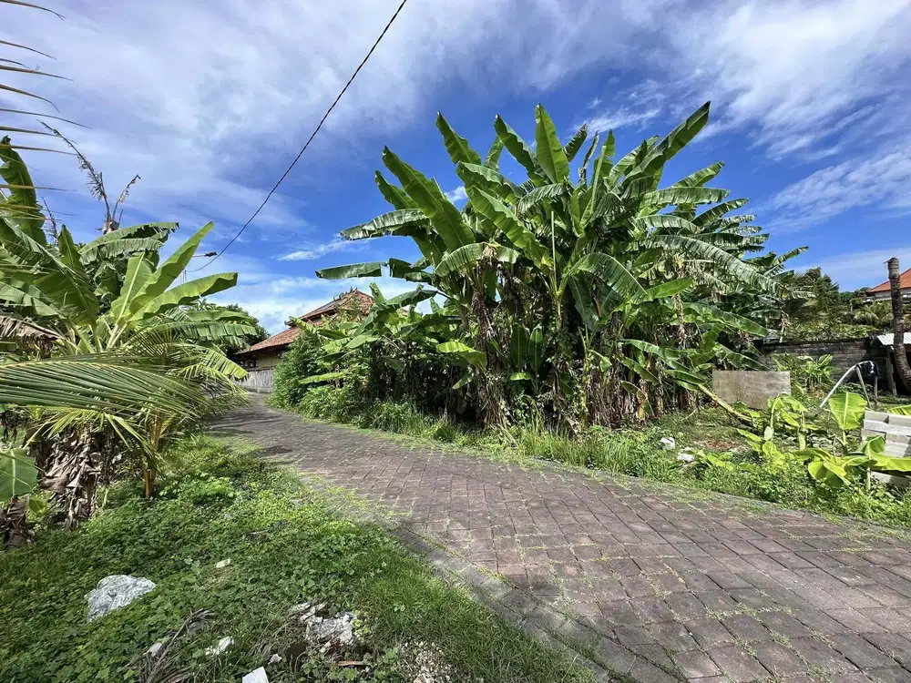 Dijual Tanah 4 Are Di Jalan Jalan Pratama Tanjung Benoa Nusa Dua