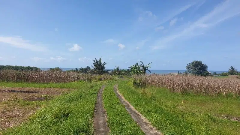 Tanah Ocean View Pantai Kelecung Tabanan Bali