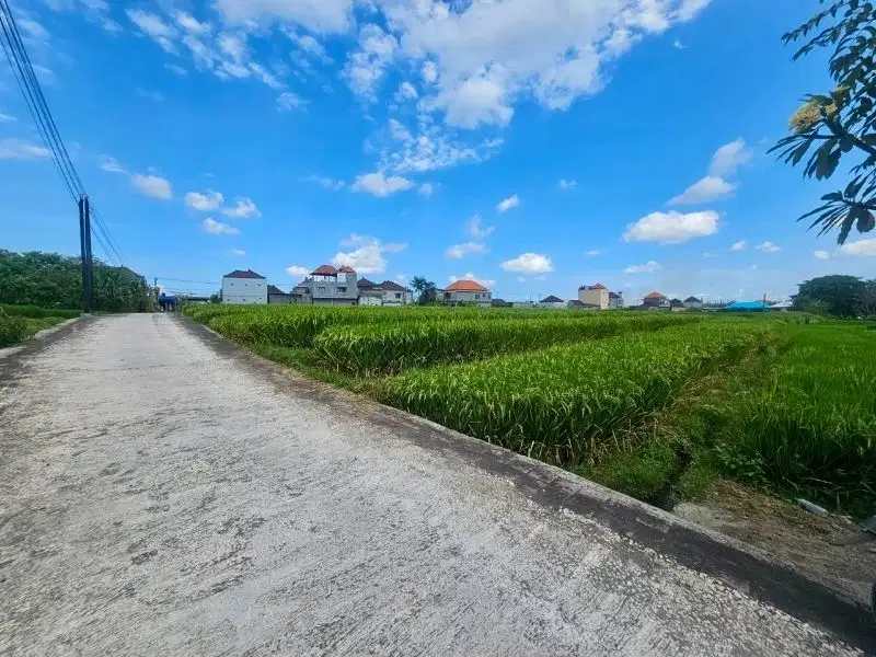 Tanah View Sawah Nyambu Kediri Tabanan Bali