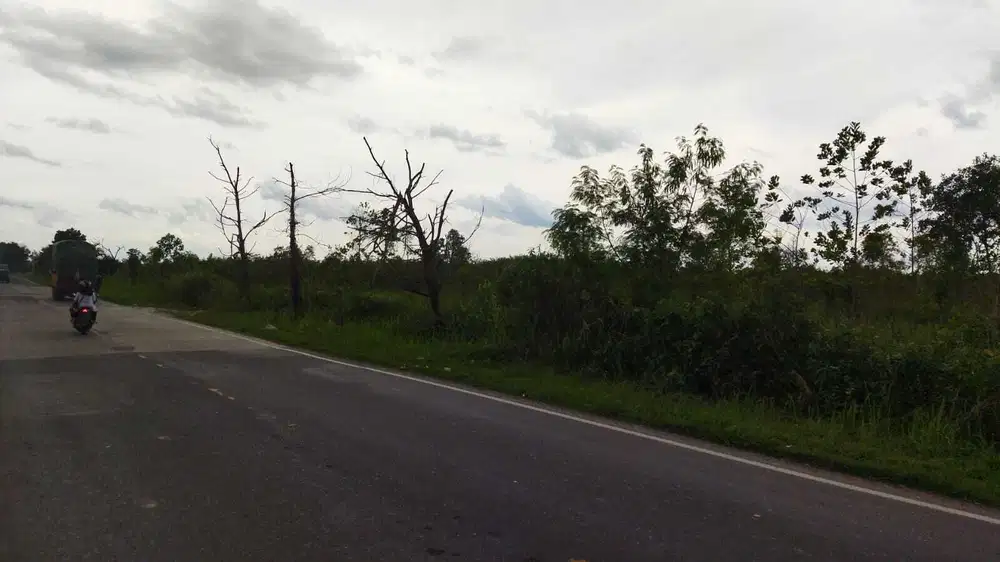 Jual Tanah di Sukarami