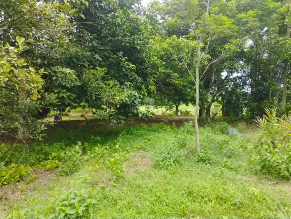 Dijual Tanah Luas di Ragemanunggal Setu Bekasi