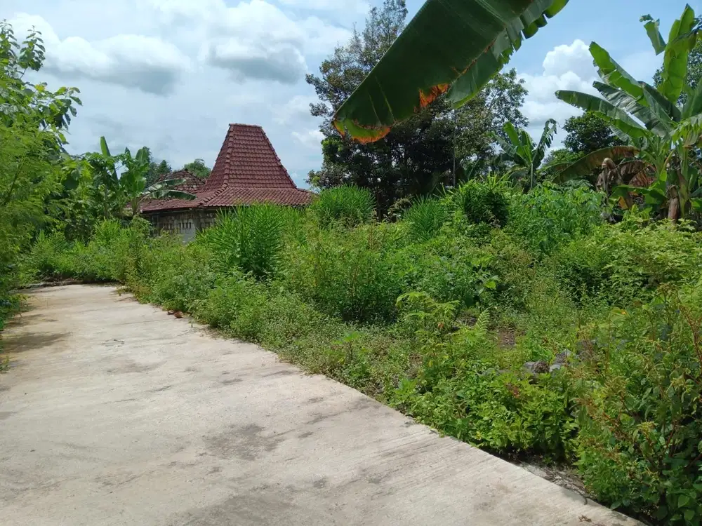 Dijual Tanah Kaplingan 3 unit di Seyegan