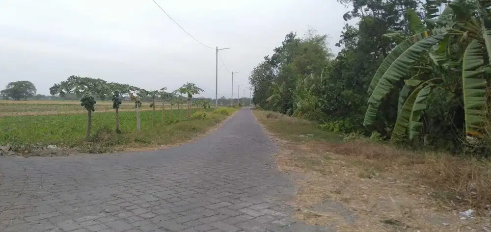 Jual Tanah Perkarangan Lokasi Balongbendo Sidoarjo