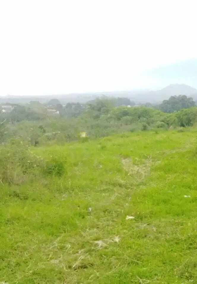 Jual tanah di kota batu bagus untuk villa ,hotel  3,5 juta / permeter