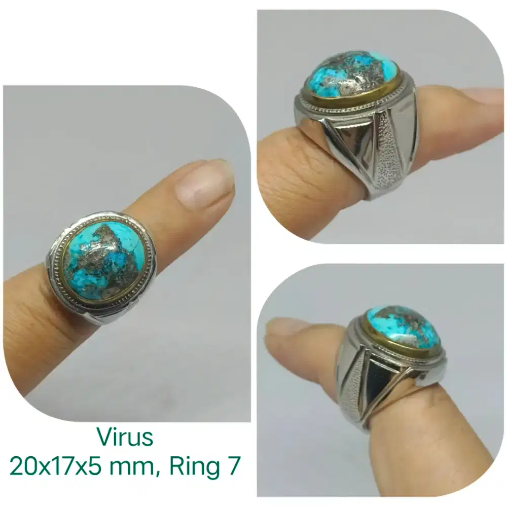 Cincin batu virus