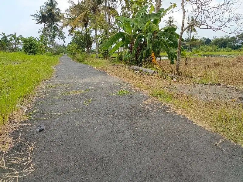 Tanah  jl kaliurang km 12 sardonoharjo ngaglik