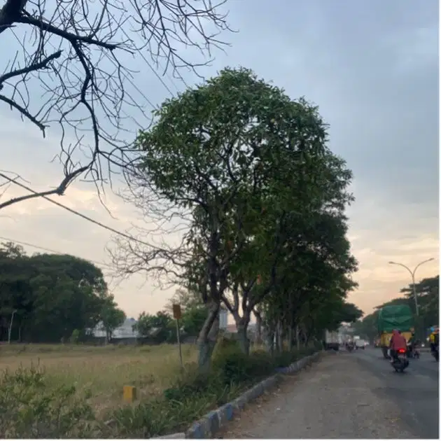 jual tanah industri pier rembang pasuruan