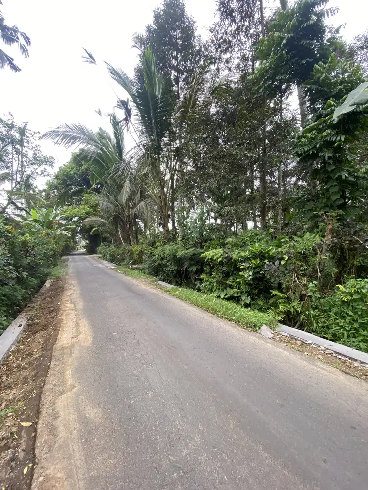 Jual tanah dekat jatiluwih penebel tabanan