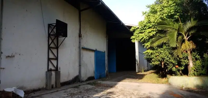 Paket Komplit Tanah Gudang,Toko, Rumah Walet Produktif