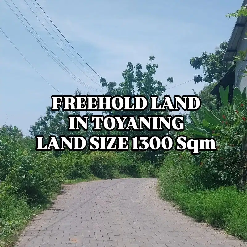 Tanah Link Villa Jalan Utama Toyaning Ungasan Badung Bali