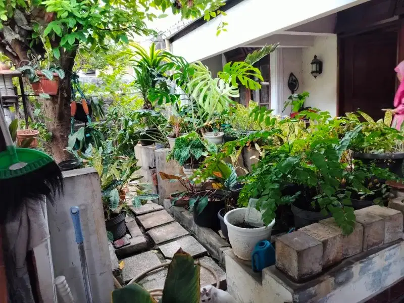 rumah lama dekat pintu tol dan dekat rs omni