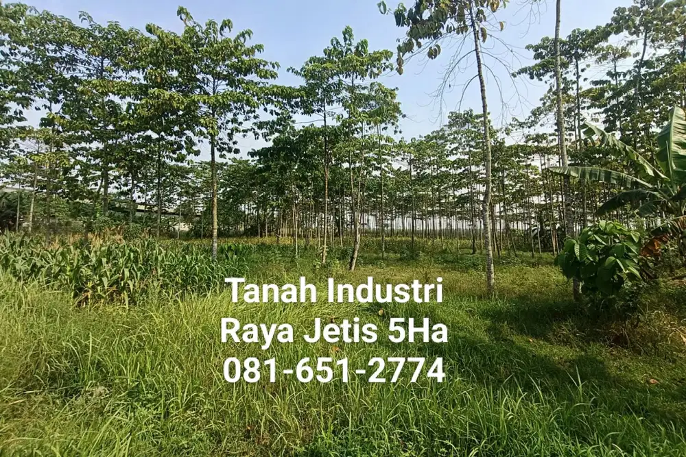 Tanah di Jetis Mojokerto