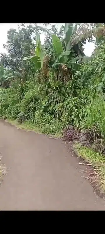 jual tanah di Rumpin